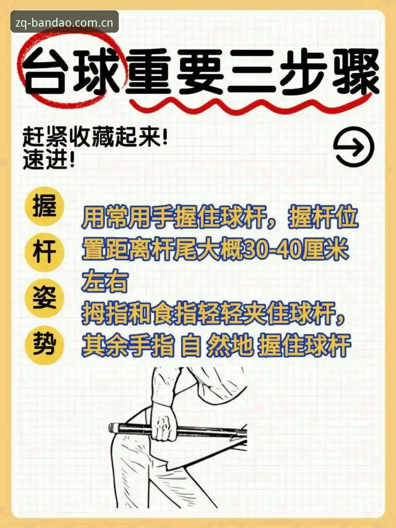 半岛体育平台使用教程：从新手到高手的完整操作指南