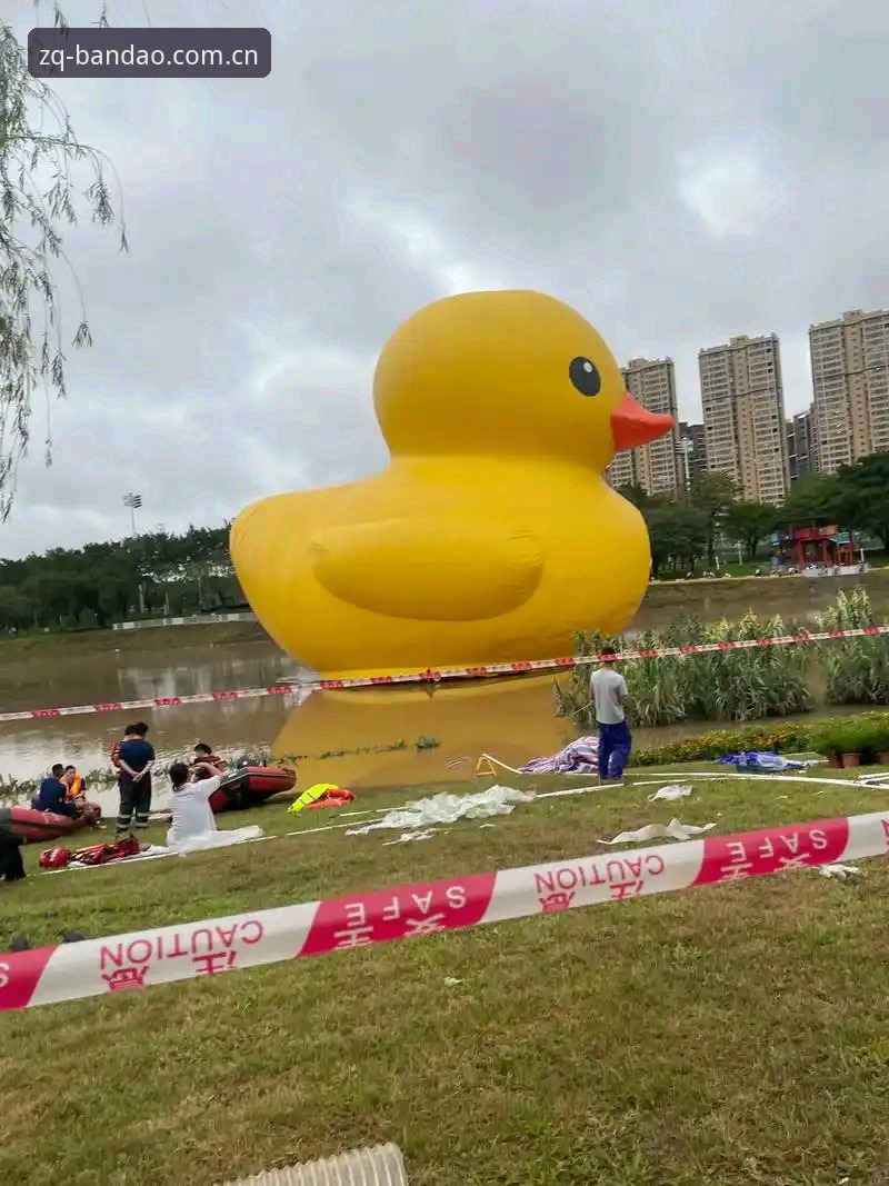 半岛体育平台深度评测：为什么这是官网入口必备的选择？